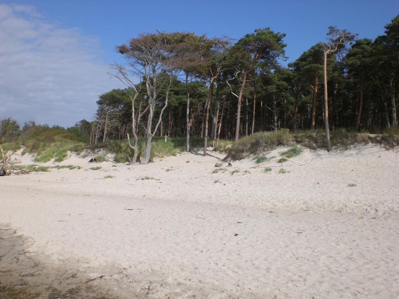 Achtern - Diek - Am Strand 青斯特 外观 照片