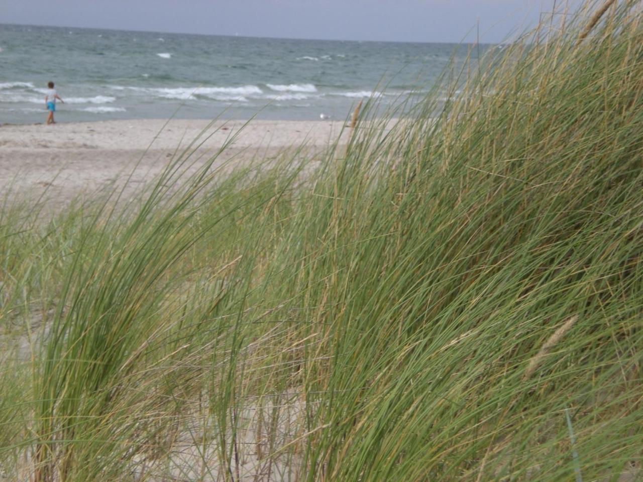 Achtern - Diek - Am Strand 青斯特 外观 照片